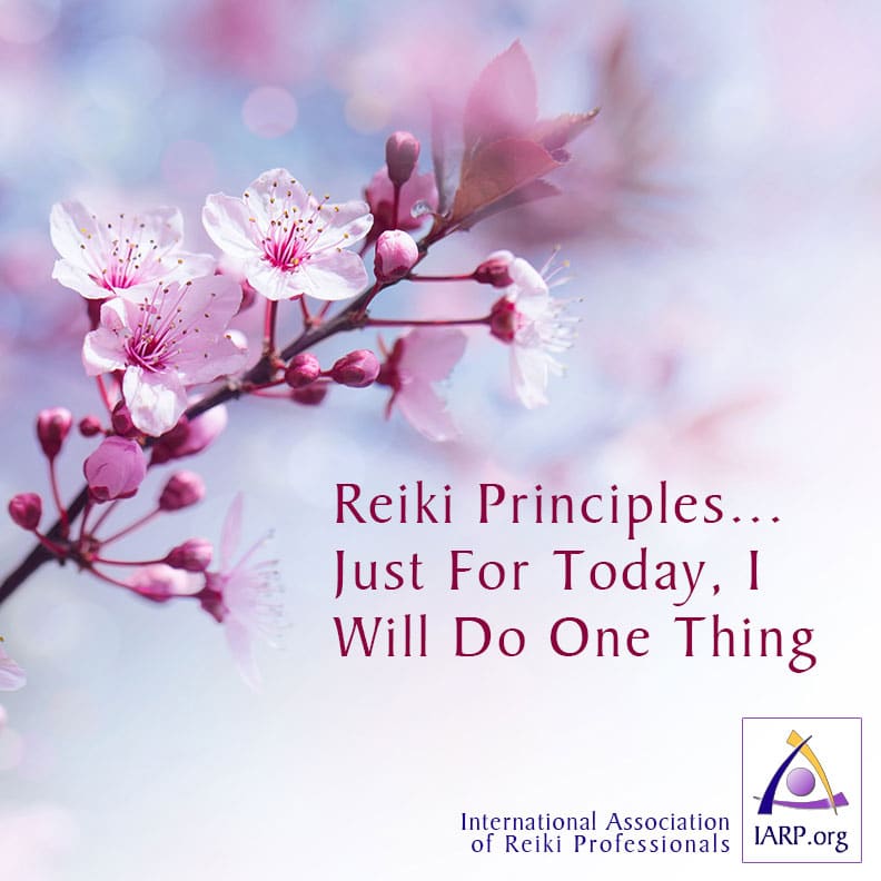 Reiki Principles... Just For Today, I Will Do One Thing