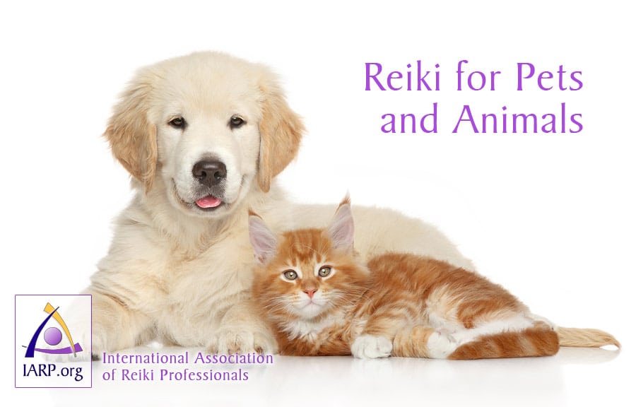 Reiki for Pets and Animals
