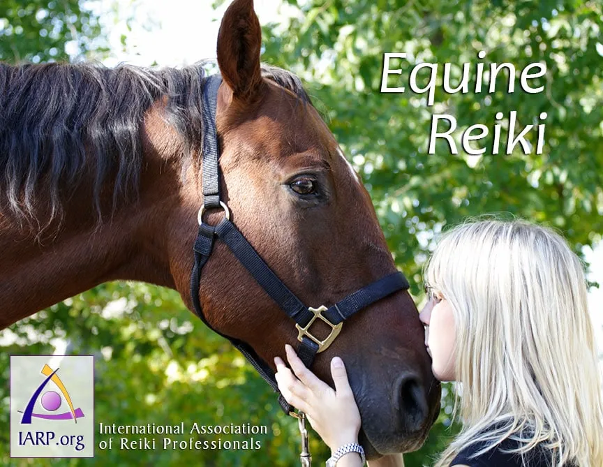 Reiki for Horses, The Benefits of Equine Reiki